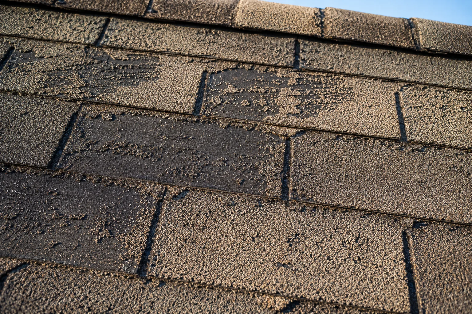 Roof inspection example showing asphalt shingle granule loss